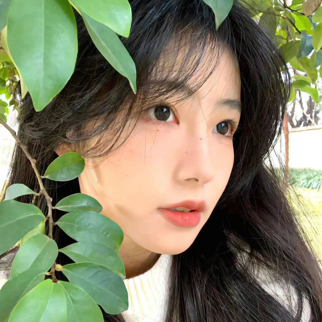 明黄禁色